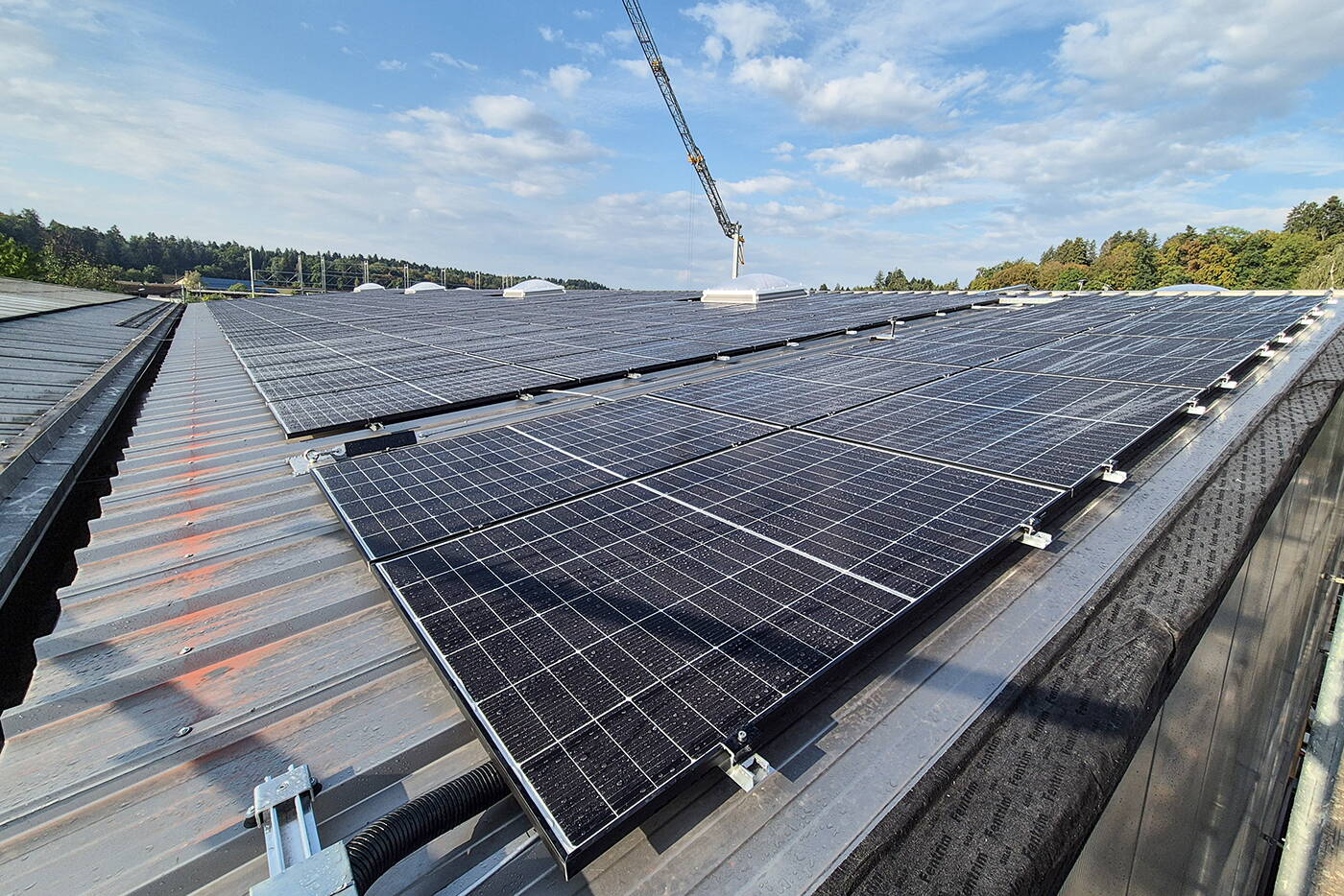 kadi_kartoffelhalle_dach_photovoltaik.jpg