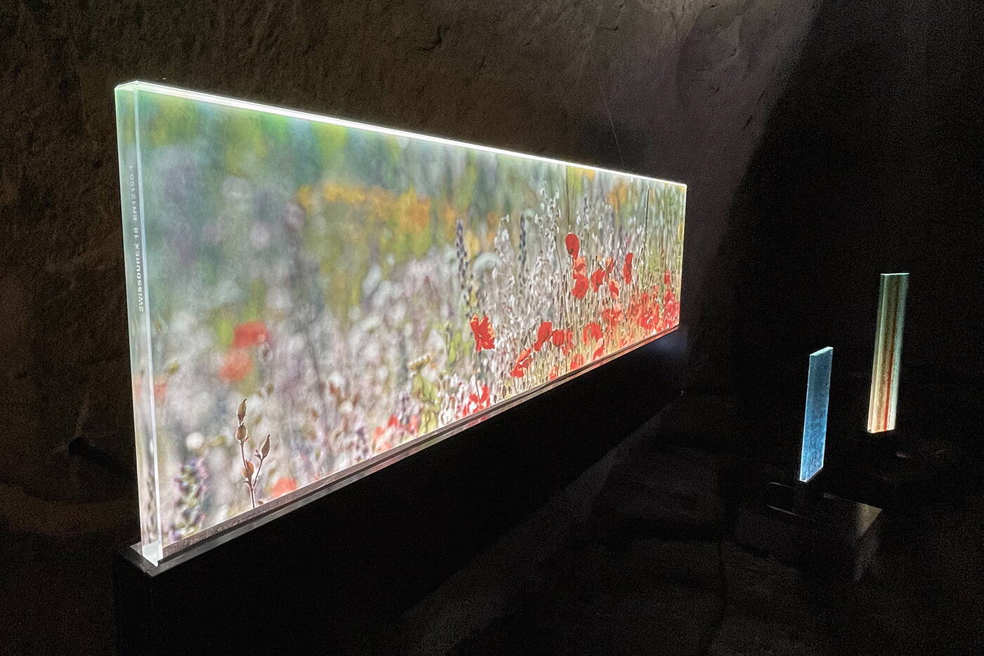 teamausflug_schlossberg_blumen_licht_kunst.jpg