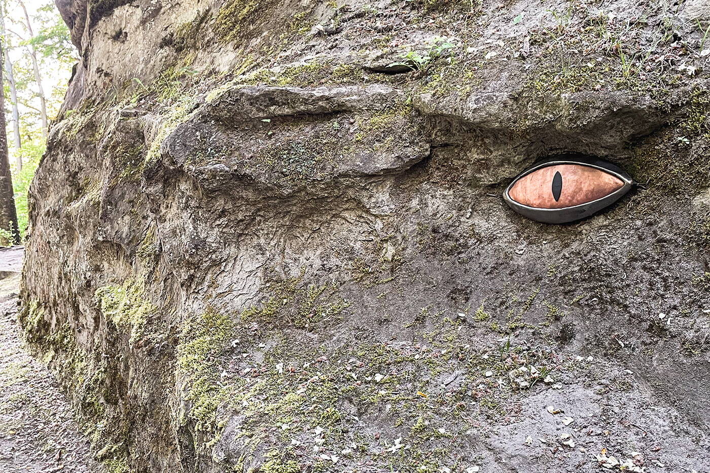 teamausflug_schlossberg_auge_im_fels.jpg