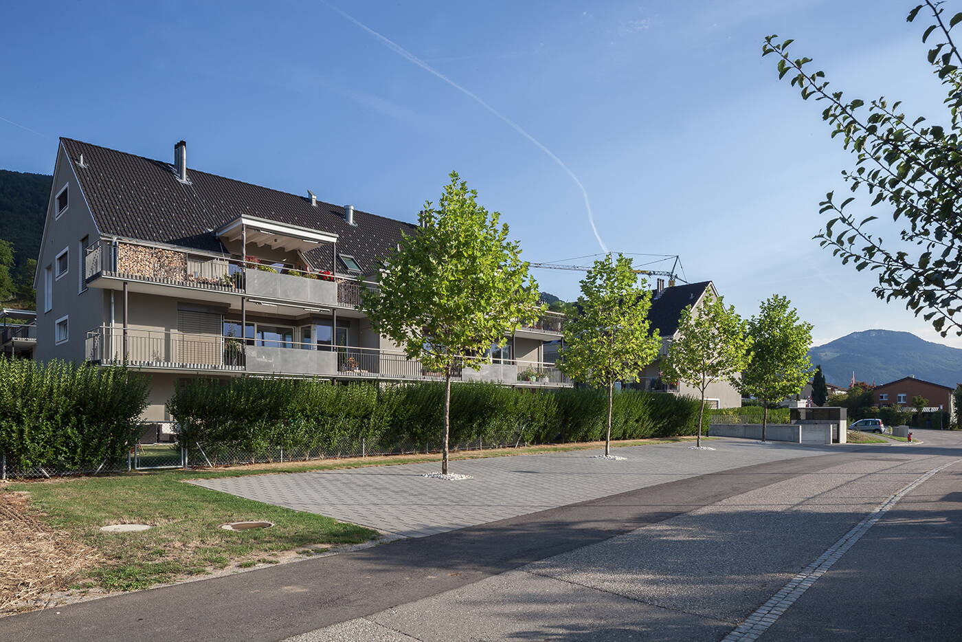 zelglipark_niederbipp_baeume_parkplatz.jpg